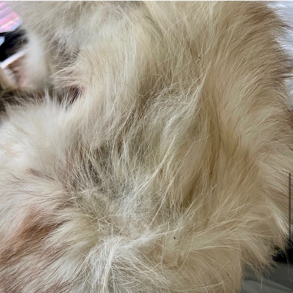 Vintage, Astrakin, France Gray Persian Lamb Swing Coat (tj1120)  This swing coat - Picture 11 of 16